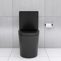 Streamdale Matte Black Dual Flush Elongated Toilet, 1000g Map