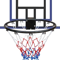 Streamdale Wall-Mount Basketball Hoop, Shatterproof Back, Folding Hoop