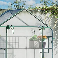 Outdoor Walk-in Mini Greenhouse with Mesh Door & Windows, Small Portable Garden Green House with 3 Tiers 6 Shelves, Trellis, & Plant Labels