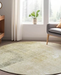 Dalyn Trevi Washable TV5 8'x8' Round Area Rug