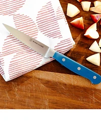 Dura Living 4-Piece Starter Knife Set