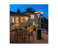 48000 Btu Propane Brown Patio Heater with Cover and Wheels