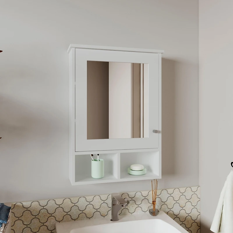 Anamoose Medicine Cabinet with 5 Shelves, 1 Door, and 1 Mirror, White