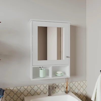 Anamoose Medicine Cabinet with 5 Shelves, 1 Door, and 1 Mirror, White