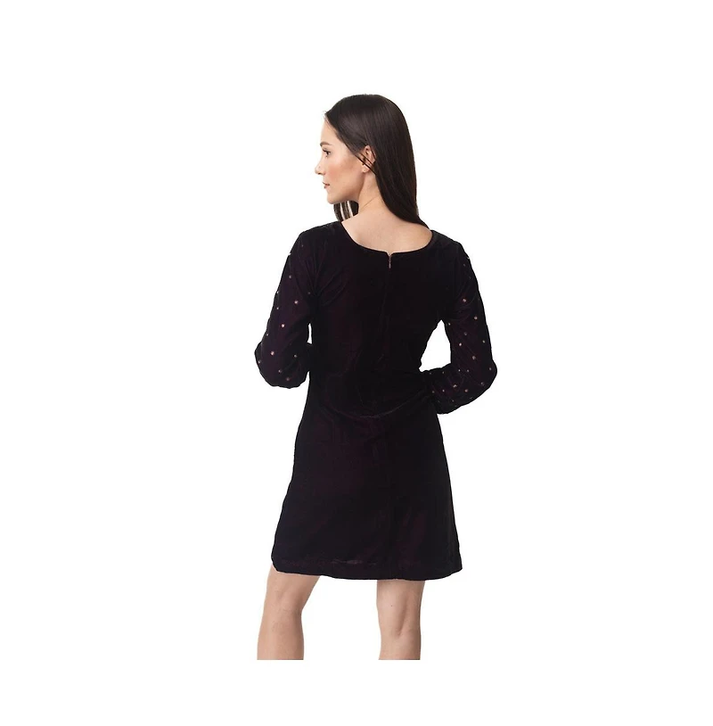 Raas Women's Wine Velvet Dress with Hand Embroidery