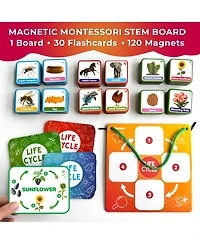 Quokka Life Cycle Kit Toy Montessori - Flash Cards Science Activities
