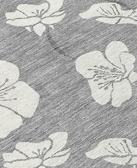 Addison Chantille Machine Washable ACN1032 2'6"x3'10" Area Rug