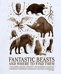 Harry Potter Big Boys Fantastic Beasts Graphic Tee