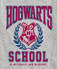 Harry Potter Big Boys Hogwarts School Graphic Tee