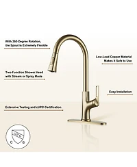 Casainc Single-Handle Pull-Down Kitchen Faucet Single Hole Faucet with Deck Plate
