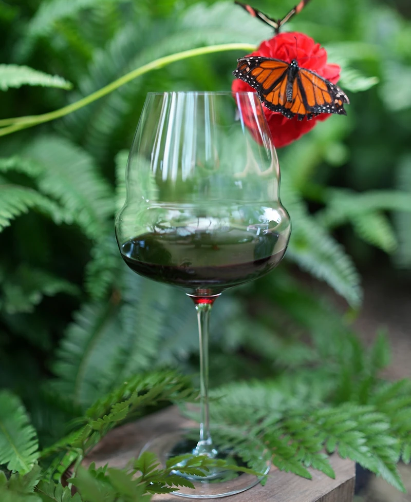 Stolzle Lausitz Cocoon Burgundy Glasses, Set of 6