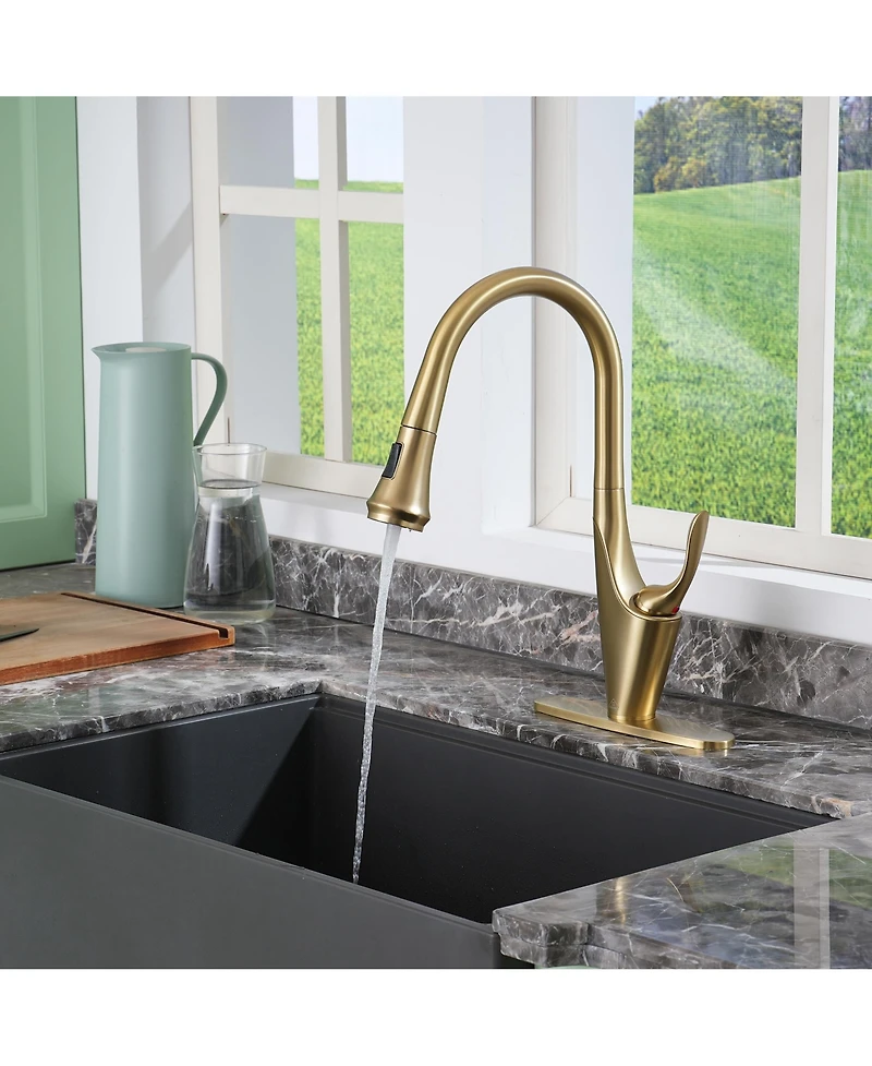 Casainc 1.8 Gpm Pull Down Kitchen Faucet with Deck Plate