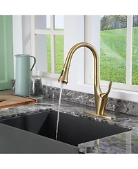 Casainc 1.8 Gpm Pull Down Kitchen Faucet with Deck Plate