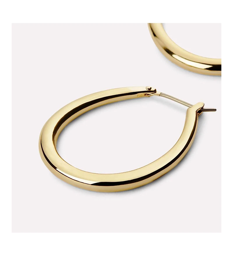 Ana Luisa Gold Hoop Earrings - Cuidado Silver