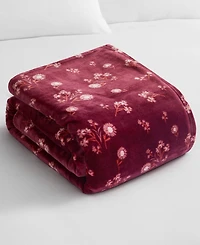 Lucky Brand Daisy Floral Cozy Plush Throw, 50" x 70"