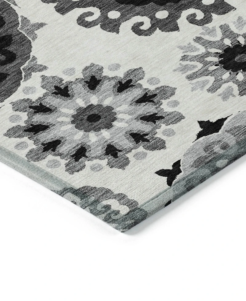 Addison Chantille Machine Washable ACN763 2'6"x3'10" Area Rug