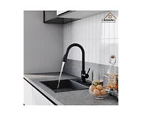 Casainc Pull Down Sprayer Kitchen Faucet with Dual-Function and Deck Plate Spot-Free