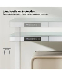 Gouun 48-Inch Height Adjustable Electric Standing Desk with Drawer