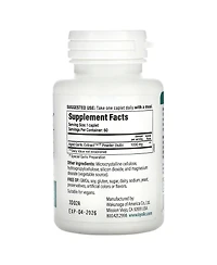 Kyolic Aged Garlic Extract Cardiovascular Health One Per Day Formula 250 60 Nutrition Caplets