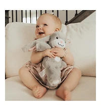 zooby mini