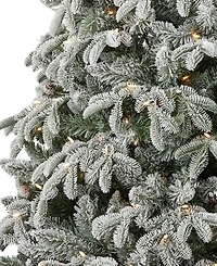 Seasonal 7.5ft Lexington Fir Lightly Dusted Tree, 500 Warm Led Lights
