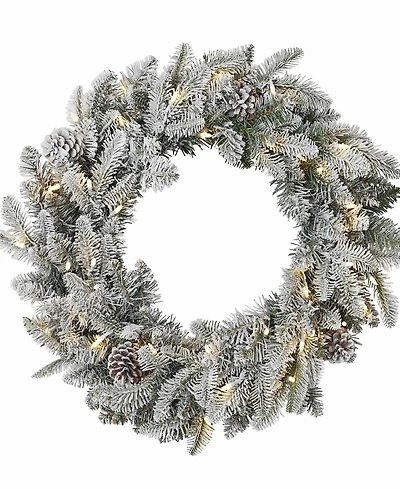 Seasonal 24" Lexington Fir Wreath, 50 Warm Led Lights