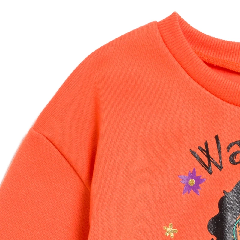 Encanto Toddler Girls Disney Pullover Fleece Sweatshirt and Leggings Outfit Set