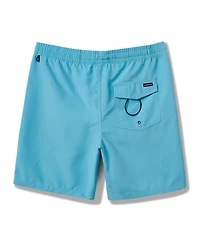 Quiksilver Men's Everyday Solid Volley 17 Nb Board Shorts