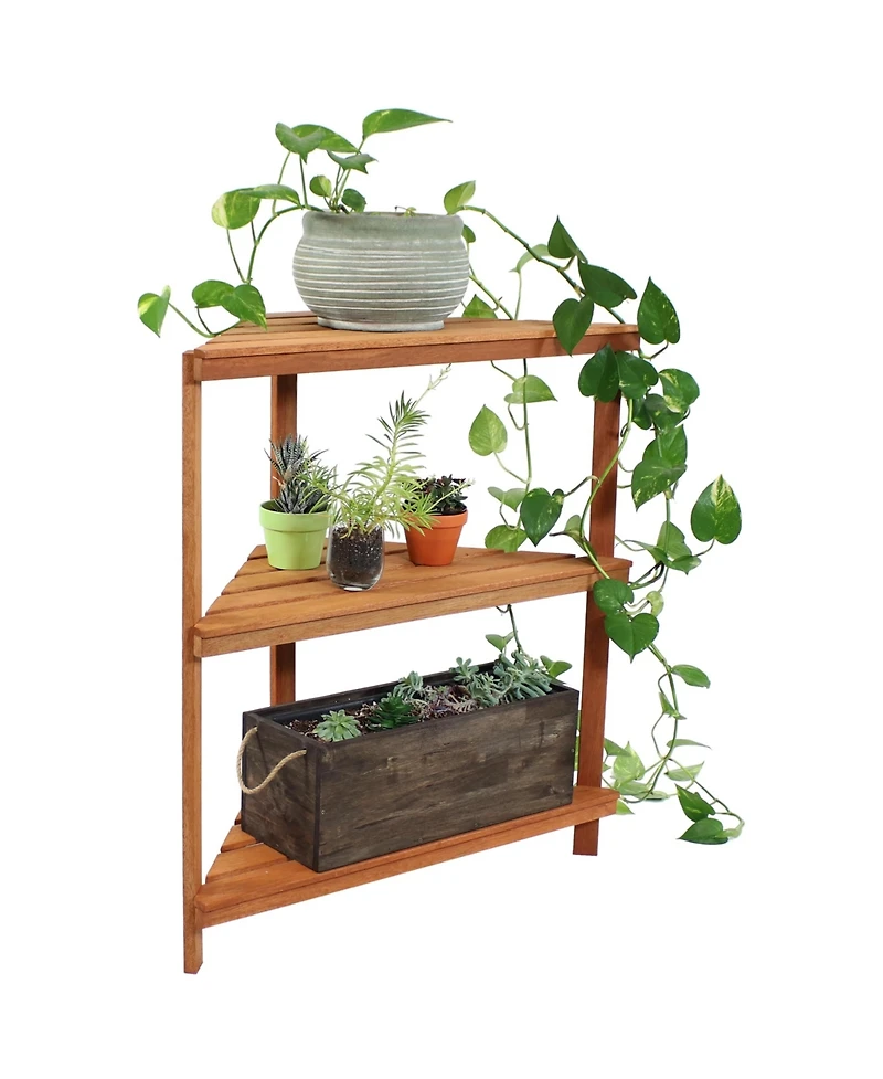 Meranti Wood 3-Tier Corner Plant Stand Shelves with Teak Oil Finish - Indoor/Outdoor Wooden Planter Furniture