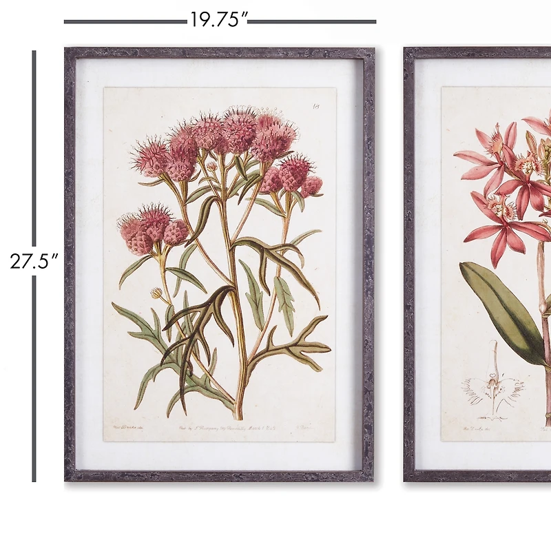 Pretty In Pink Vintage Prints Set of 2