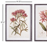 Pretty In Pink Vintage Prints Set of 2