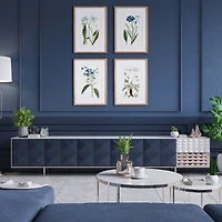 Mountain Botanical Prints Set of 4