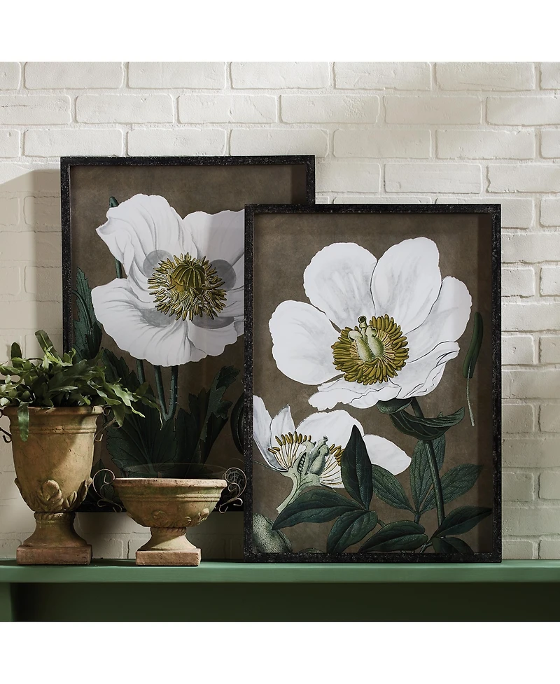 19.75" x 27.5" Stunning Poppy Floral Flower Art Prints in Fir Wood Frame w/ Glass Pane Set of 2