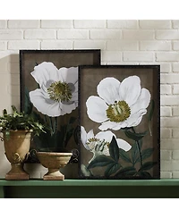 19.75" x 27.5" Stunning Poppy Floral Flower Art Prints in Fir Wood Frame w/ Glass Pane Set of 2
