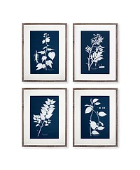 Cyano Botanical Leaf Study Set of 4