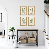 Forest Fern Prints Set of 4