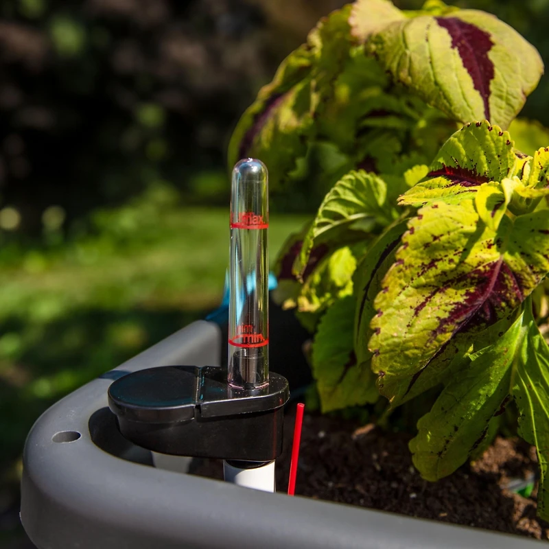 Self-Watering Raised Garden Bed with Cloche Cover - 30" W x 14.5" D x 33" H - Gray