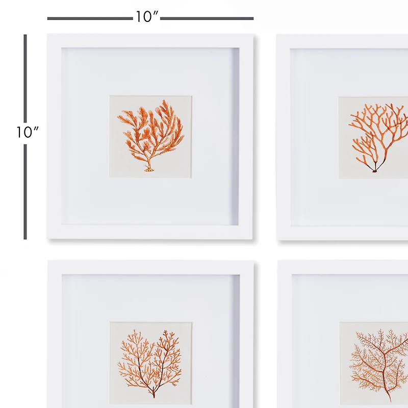 Branch Coral Petite Prints Set of 4