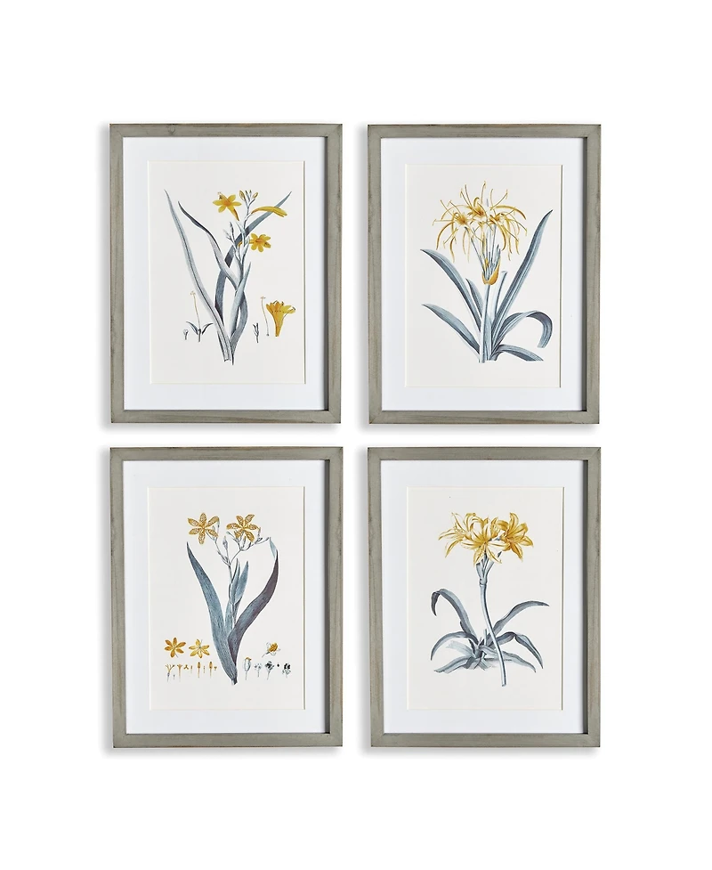 Daffodil Prints Set of 4