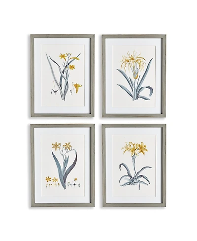 Daffodil Prints Set of 4