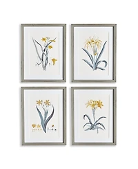 Daffodil Prints Set of 4