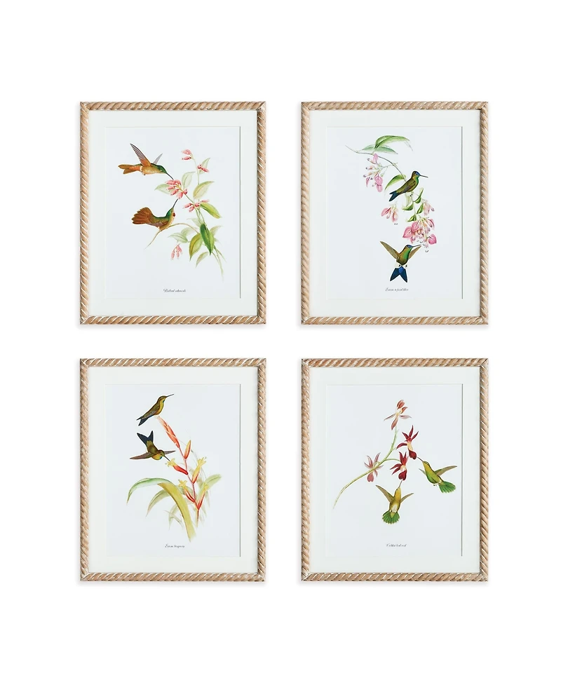 Playful Hummingbird Prints Set of 4