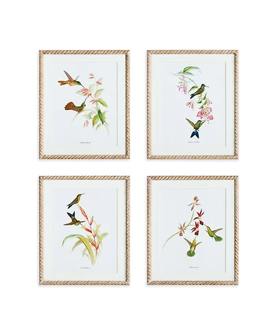 Playful Hummingbird Prints Set of 4