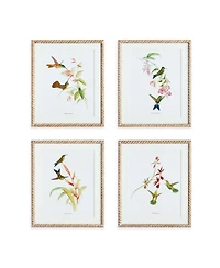 Playful Hummingbird Prints Set of 4