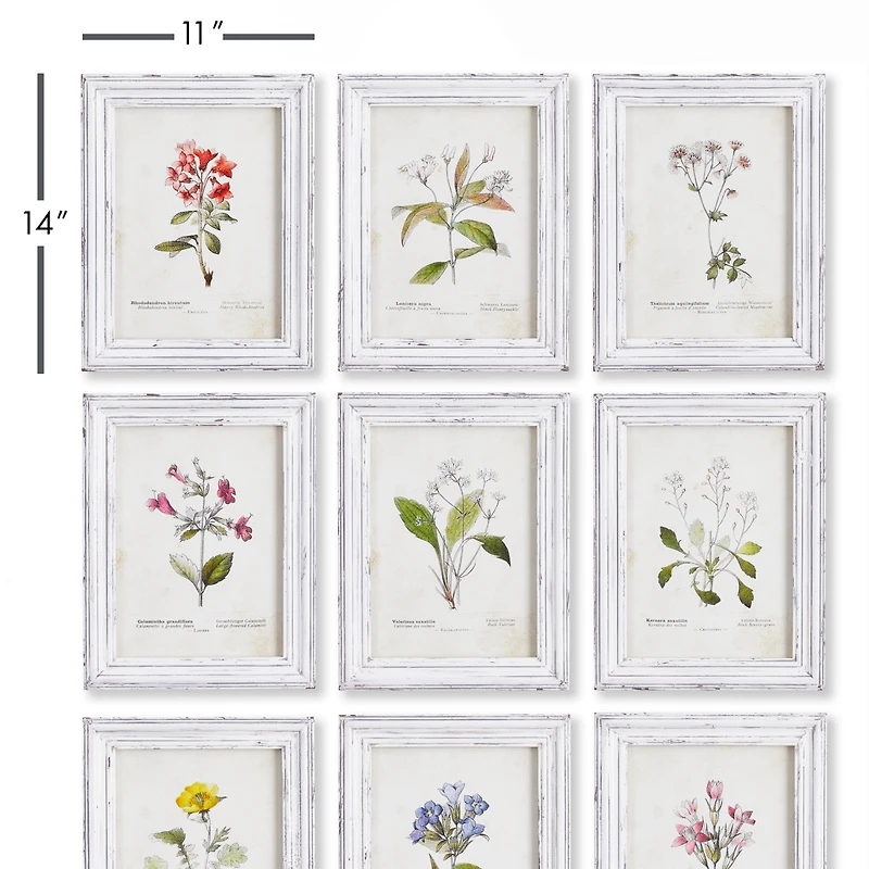 Garden Meadow Study Set of 9