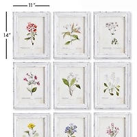 Garden Meadow Study Set of 9