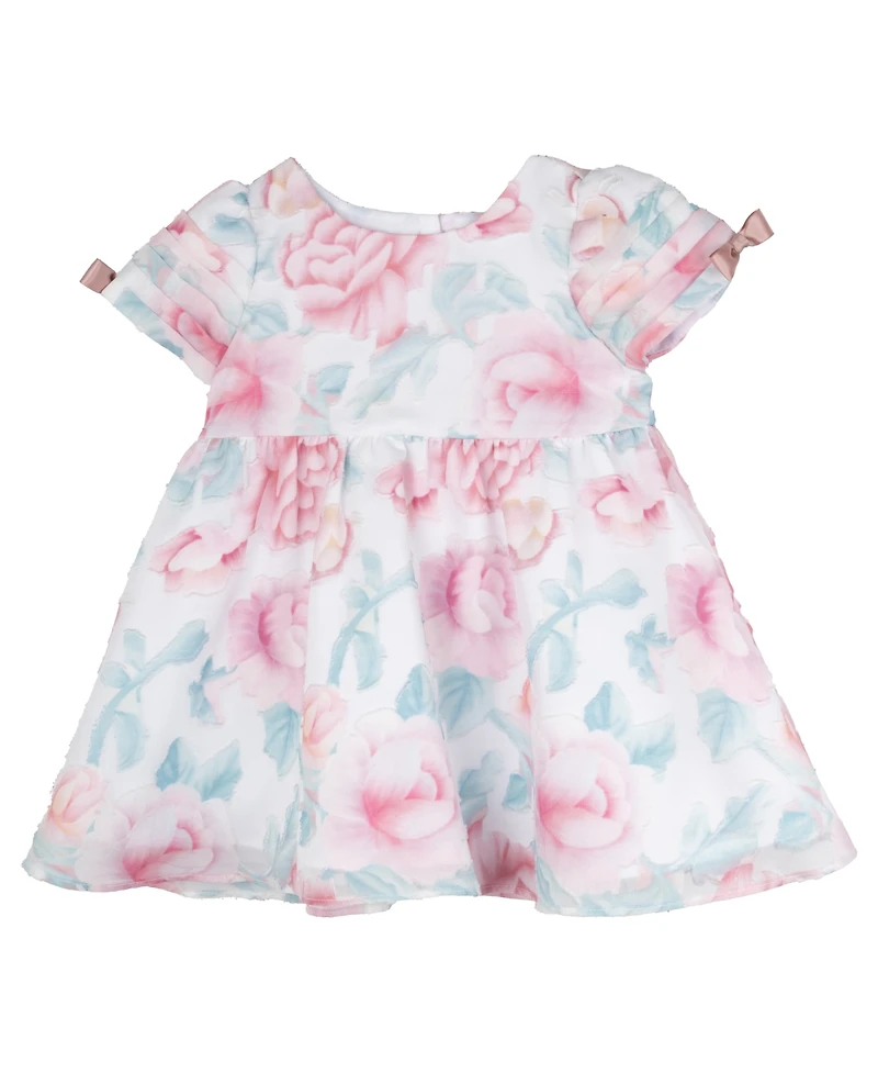 Rare Editions Baby Girl Floral Organza Dress