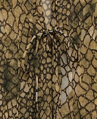 Mango Women's Puffed-Sleeve Printed Shirt