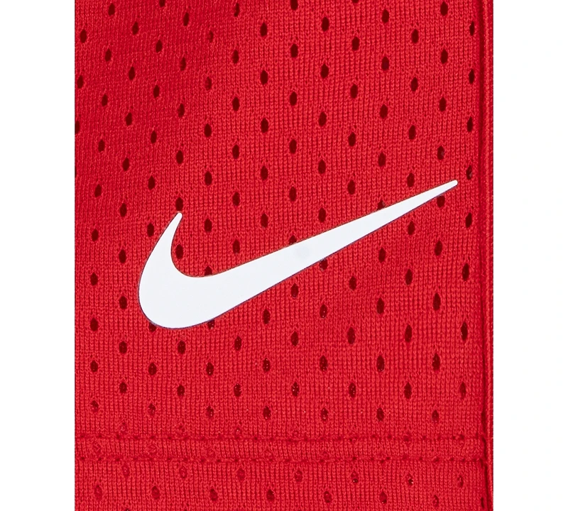 Nike Toddler Boys Dri-fit Mesh Pull-On Shorts