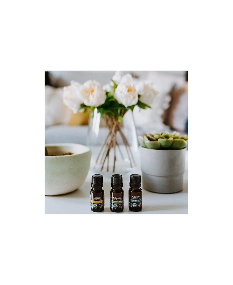 Organic Aromatherapy Set (Top 4 Essential Oils)